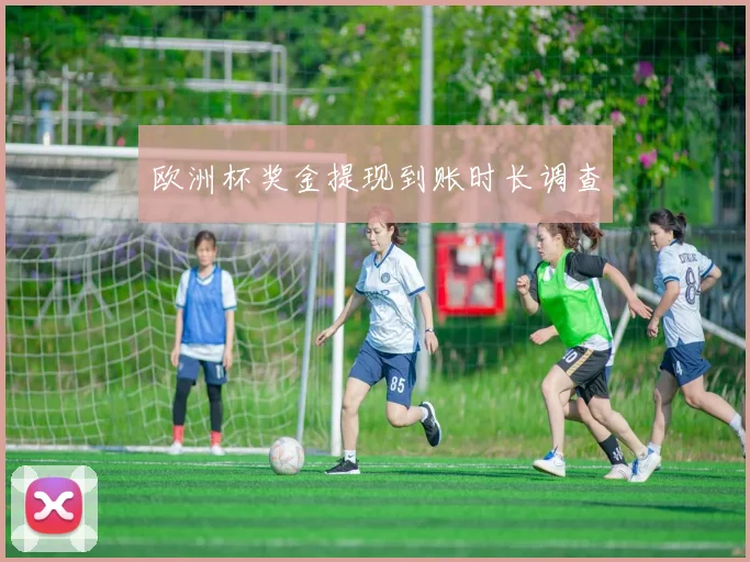 欧洲杯奖金提现到账时长调查