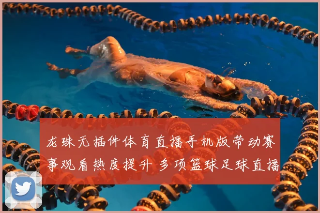 龙珠无插件体育直播手机版带动赛事观看热度提升 多项篮球足球直播同步更新