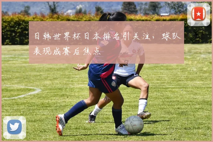 日韩世界杯日本排名引关注,球队表现成赛后焦点