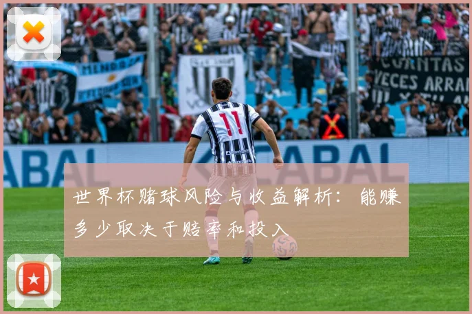 世界杯赌球风险与收益解析：能赚多少取决于赔率和投入