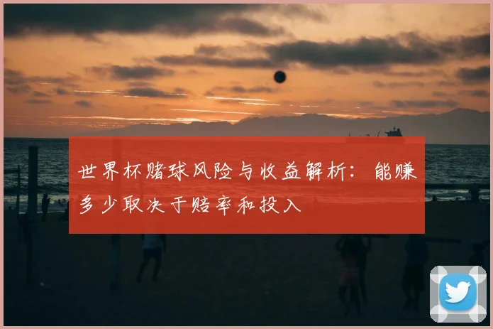世界杯赌球风险与收益解析：能赚多少取决于赔率和投入