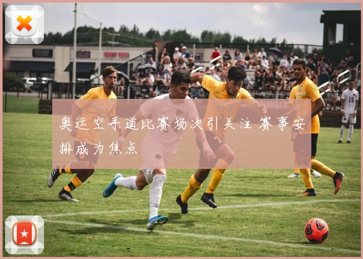 奥运空手道比赛场次引关注 赛事安排成为焦点