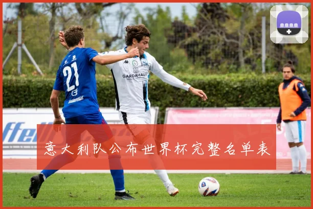 意大利队公布世界杯完整名单表